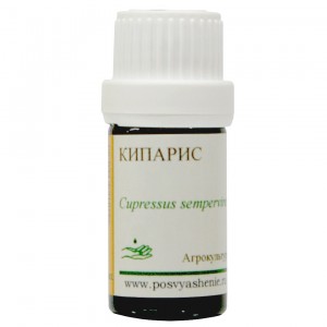 Кипарис (Cupressus sempervirens)