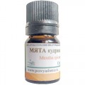 Мята кудрявая (Mentha spicata) organic