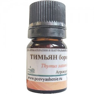 Тимьян борнеольный (Thymus satureioides)